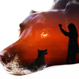 Double Exposure Photoshop Action - photoshop action