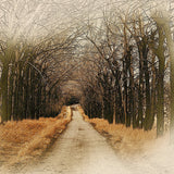 Free MixArt- Photoshop Action - photoshop action