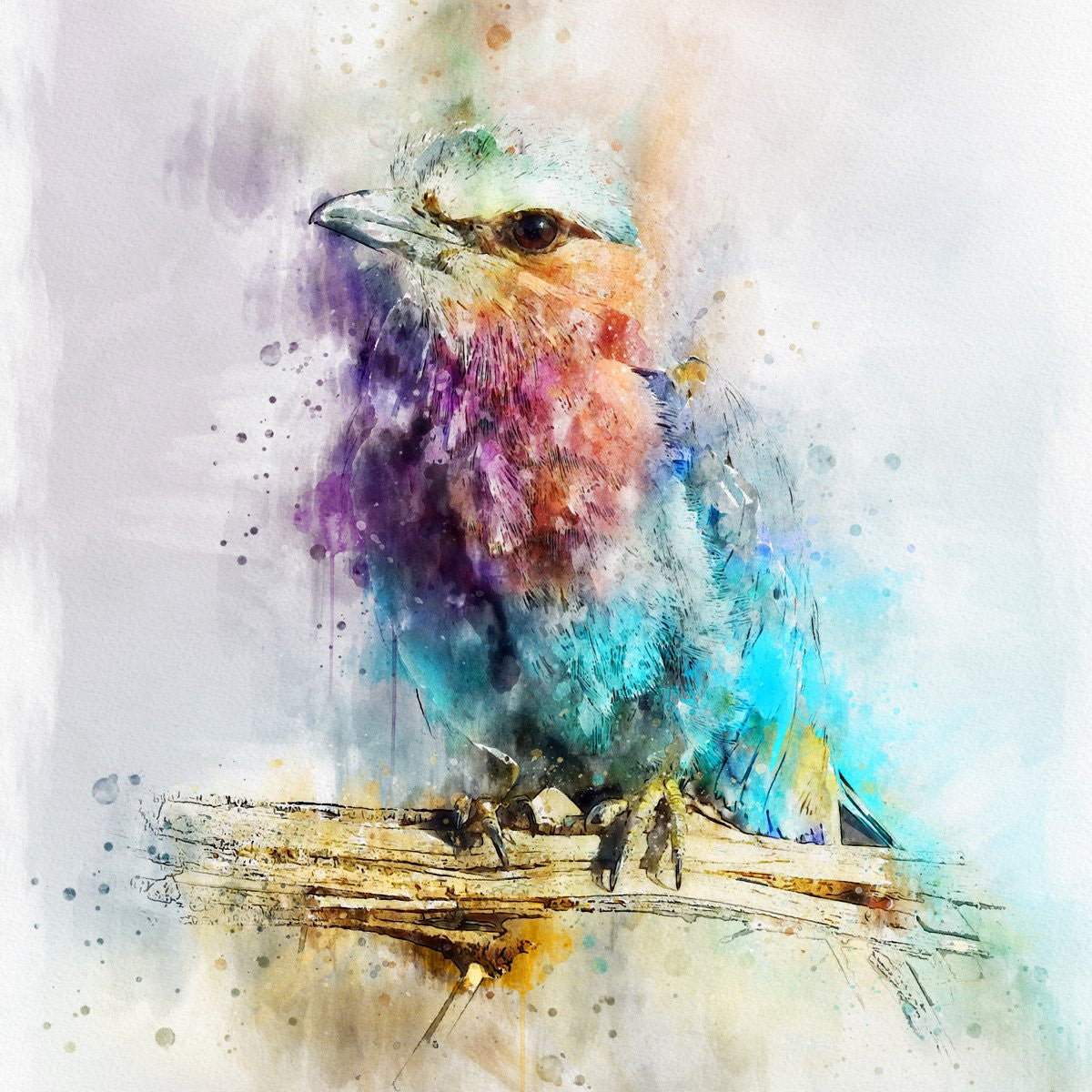 \"WATERCOLOR PAINTING WITH passion!\" アルバロ Watercolor Painting With Passion!: Castagnet, Alvaro