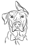 Custom Pet Ear Outline Drawing, Dog, Cat Tattoo Design, Ear, Face, Head, Body Outline DIGITAL file
