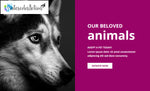Free Animal Email Template